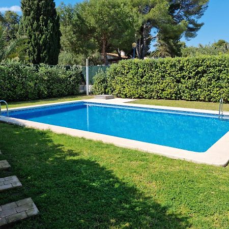 Solmar Lejlighed Torrevieja Eksteriør billede